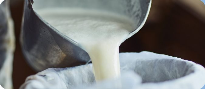 Frische Milch wird bei der Käseherstellung in ein Tuch gegossen.