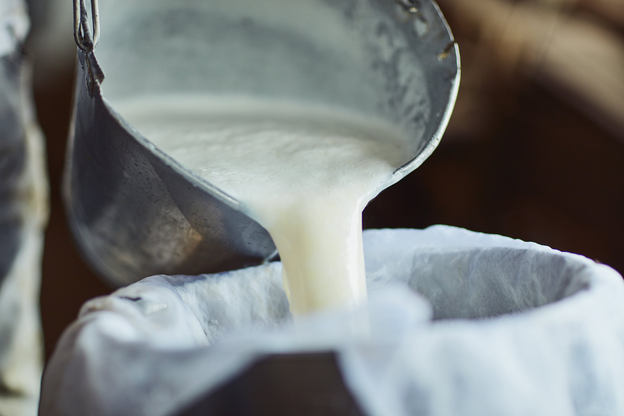 Milch wird aus einer Kanne in einen Behälter gegossen
